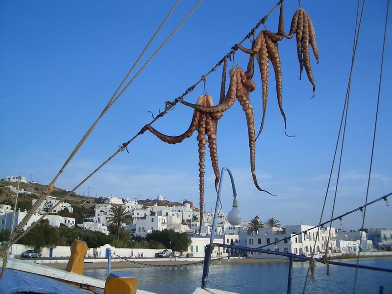 Kraken Image